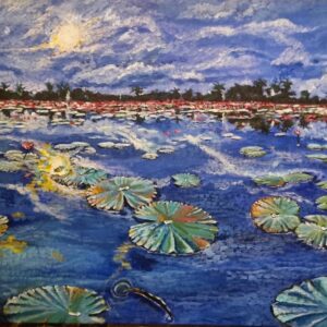 Waterlillies 1