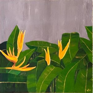 Heliconias 2