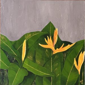Heliconias 4