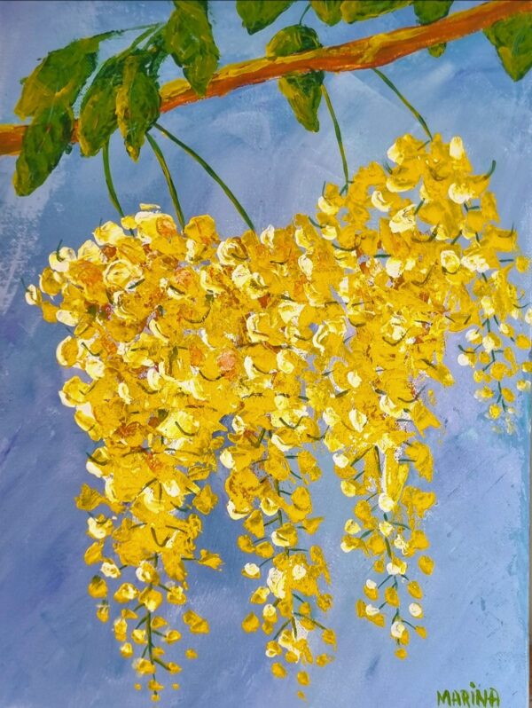 Amaltas Cassia Flowers